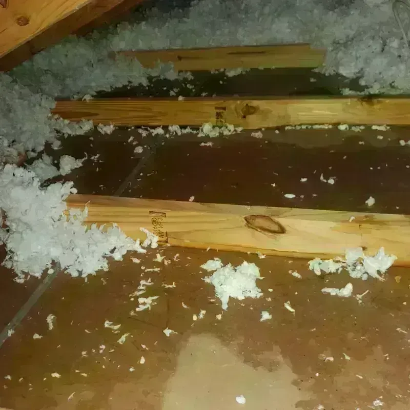 Attic Water Damage in Reeves County, TX