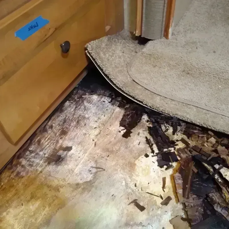 Best Wood Floor Water Damage Service in Reeves County, TX